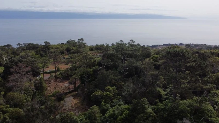 Terreno Agricola ou Rústico para Venda em São Roque do Pico Foto 11