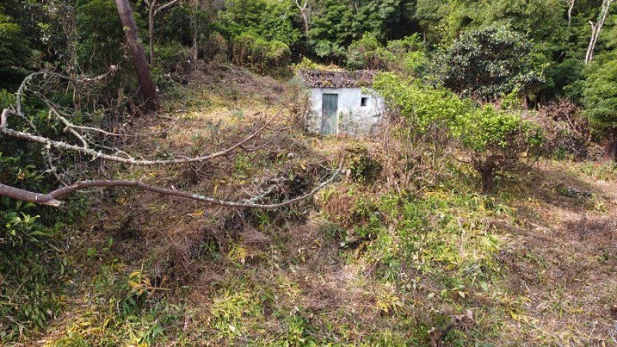 Terreno Agricola ou Rústico para Venda em São Roque do Pico Foto 12