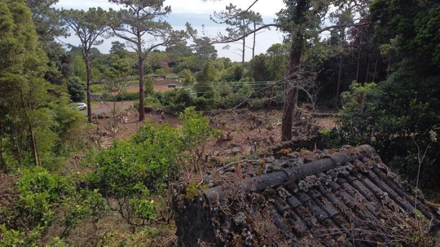 Terreno Agricola ou Rústico para Venda em São Roque do Pico Foto 14