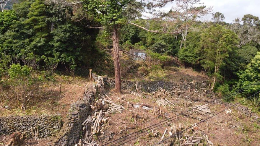 Terreno Agricola ou Rústico para Venda em São Roque do Pico Foto 16
