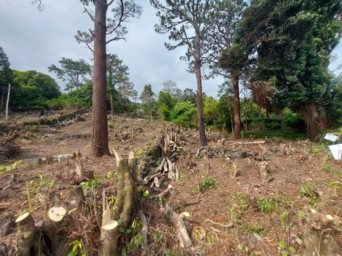 Terreno Agricola ou Rústico para Venda em São Roque do Pico Foto 3