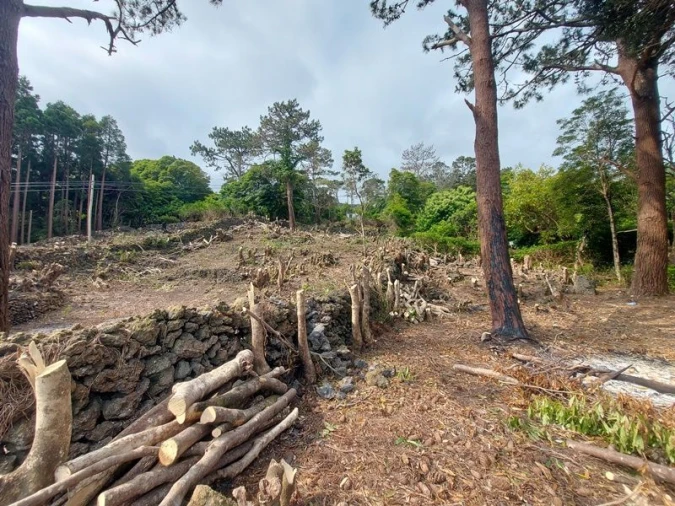 Terreno Agricola ou Rústico para Venda em São Roque do Pico Foto 5