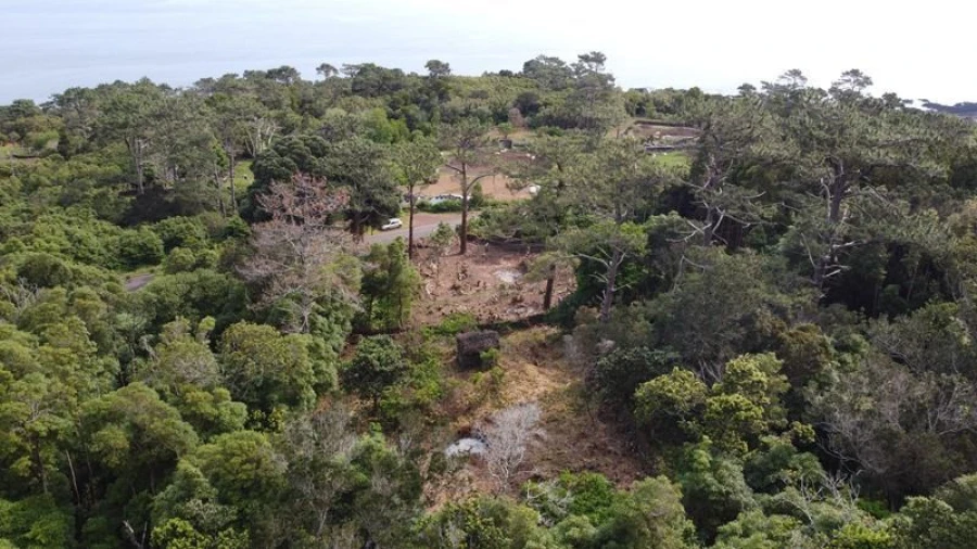 Terreno Agricola ou Rústico para Venda em São Roque do Pico Foto 9