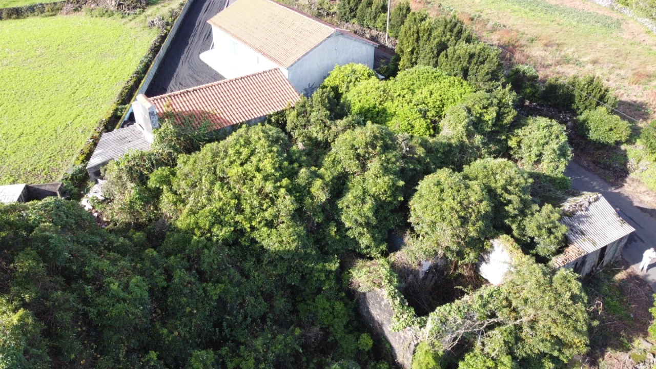 Moradia para Venda em Piedade Foto 29