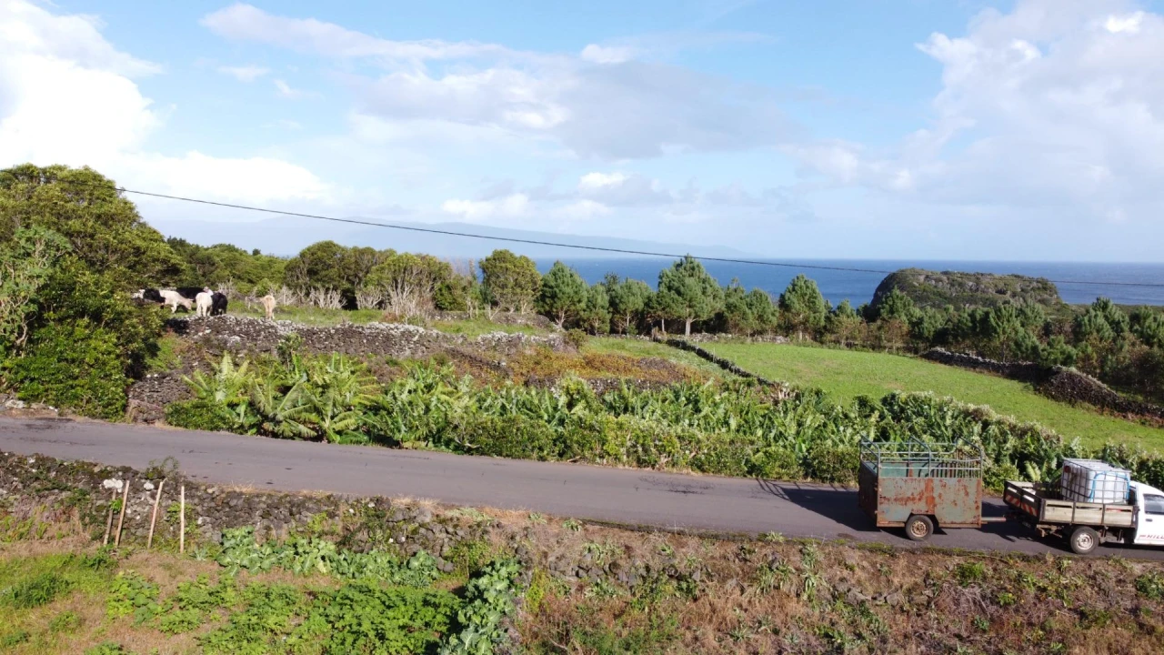 Moradia para Venda em Piedade Foto 33