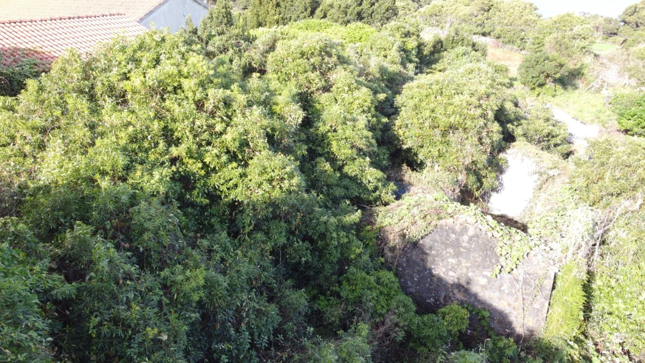 Moradia para Venda em Piedade Foto 40