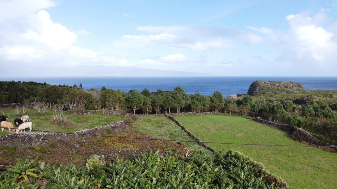 Moradia para Venda em Piedade Foto 45