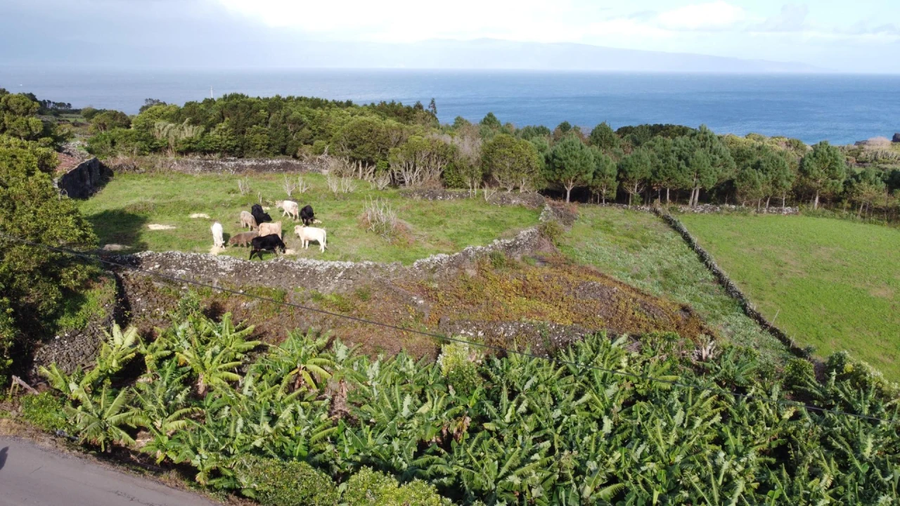 Moradia para Venda em Piedade Foto 47
