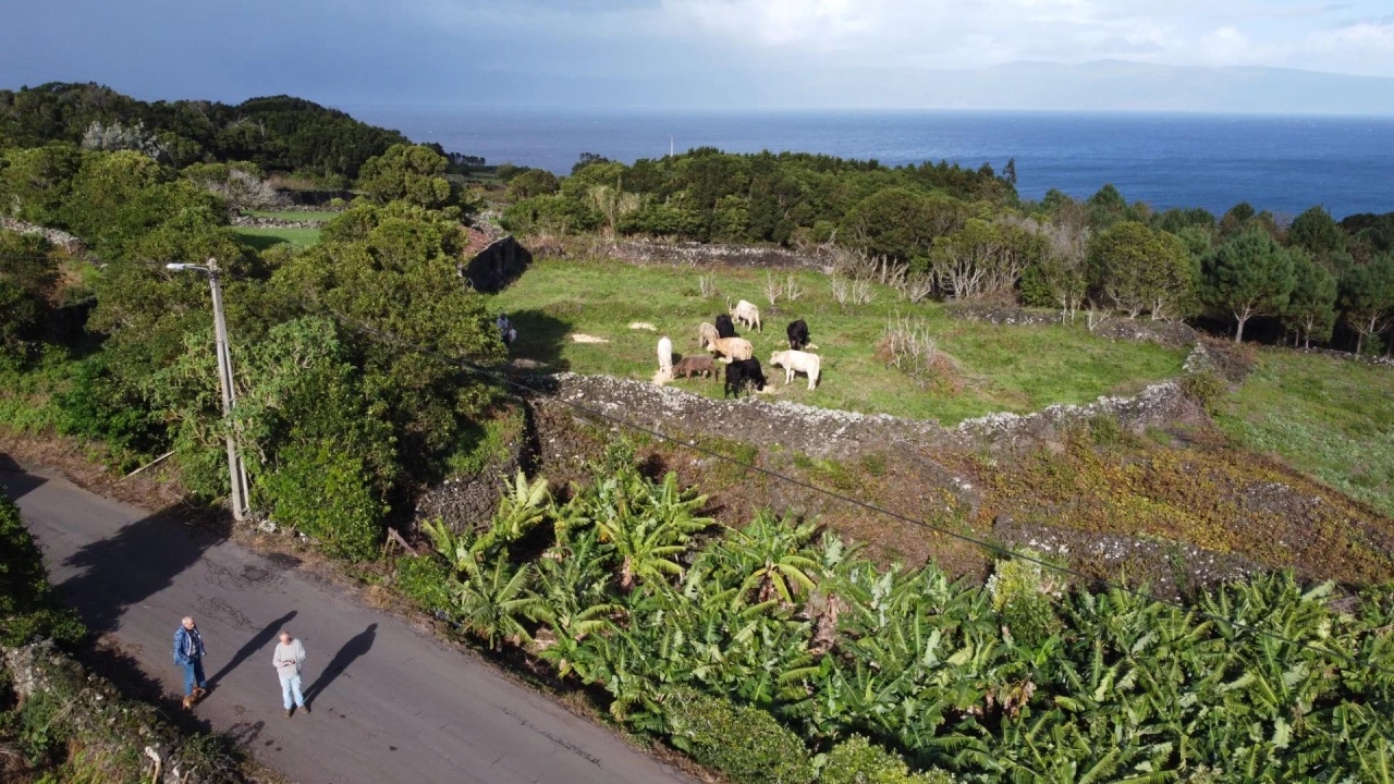 Moradia para Venda em Piedade Foto 48