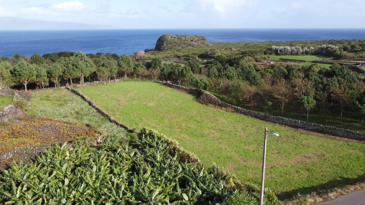 Moradia para Venda em Piedade Foto 49
