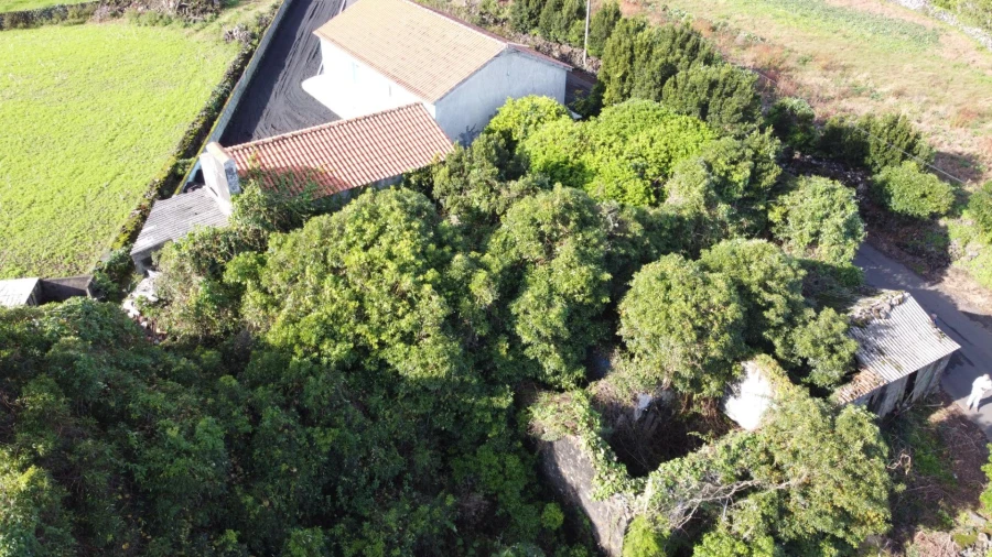 Moradia para Venda em Piedade Foto 29