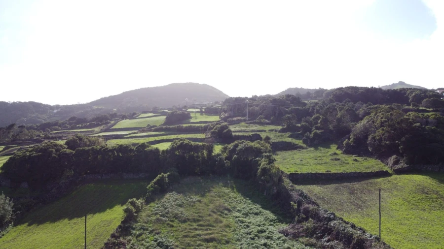 Moradia para Venda em Piedade Foto 30