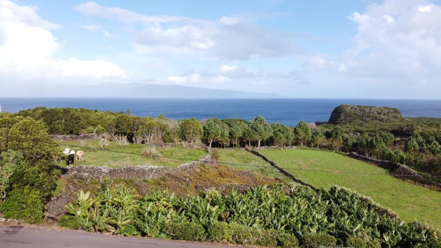 Moradia para Venda em Piedade Foto 32
