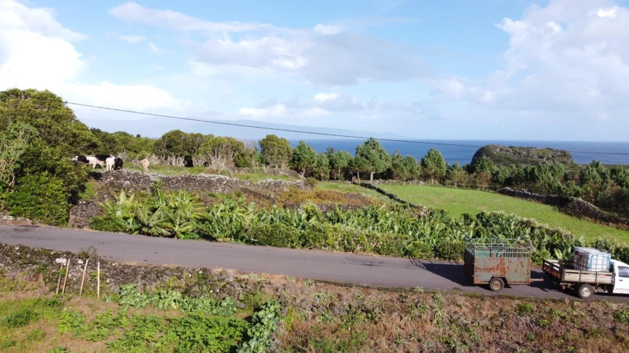 Moradia para Venda em Piedade Foto 33