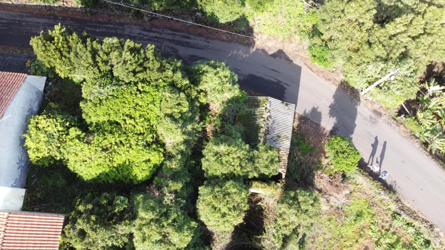 Moradia para Venda em Piedade Foto 39