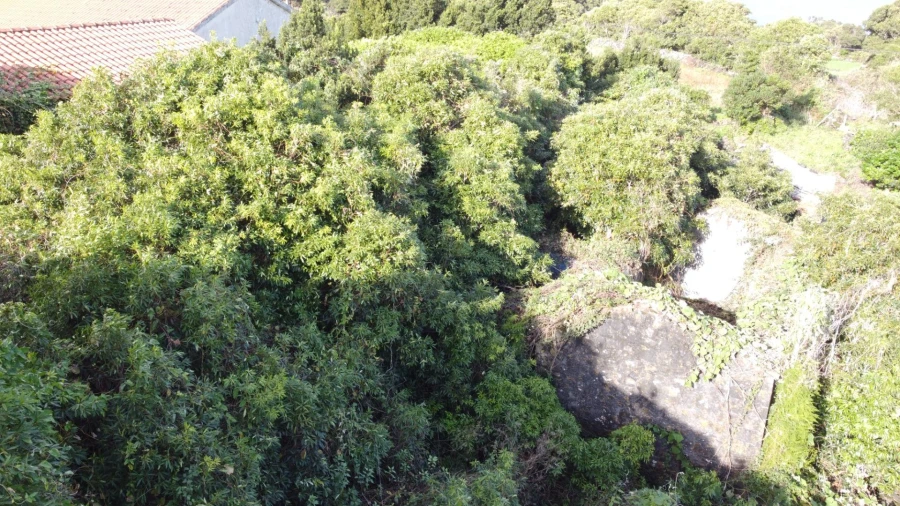 Moradia para Venda em Piedade Foto 40