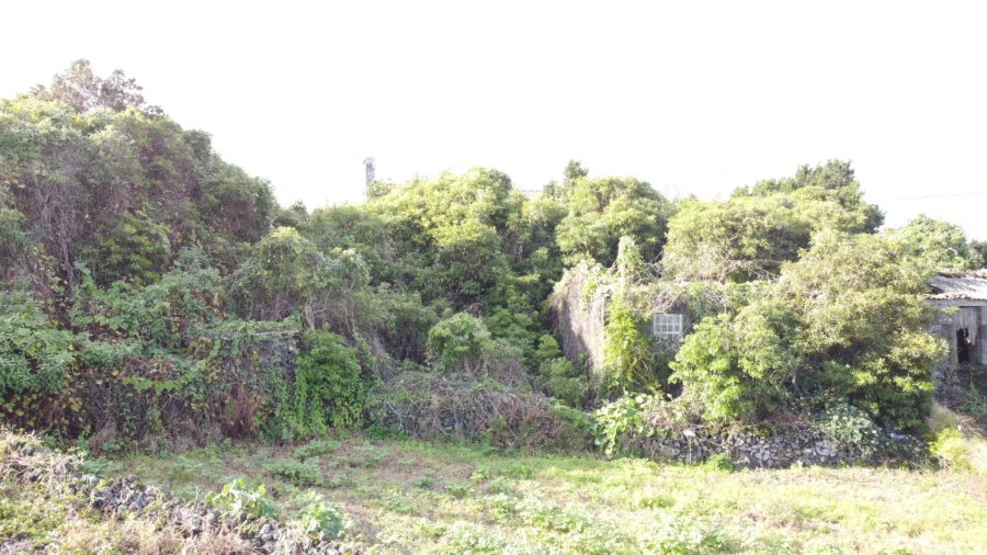 Moradia para Venda em Piedade Foto 42