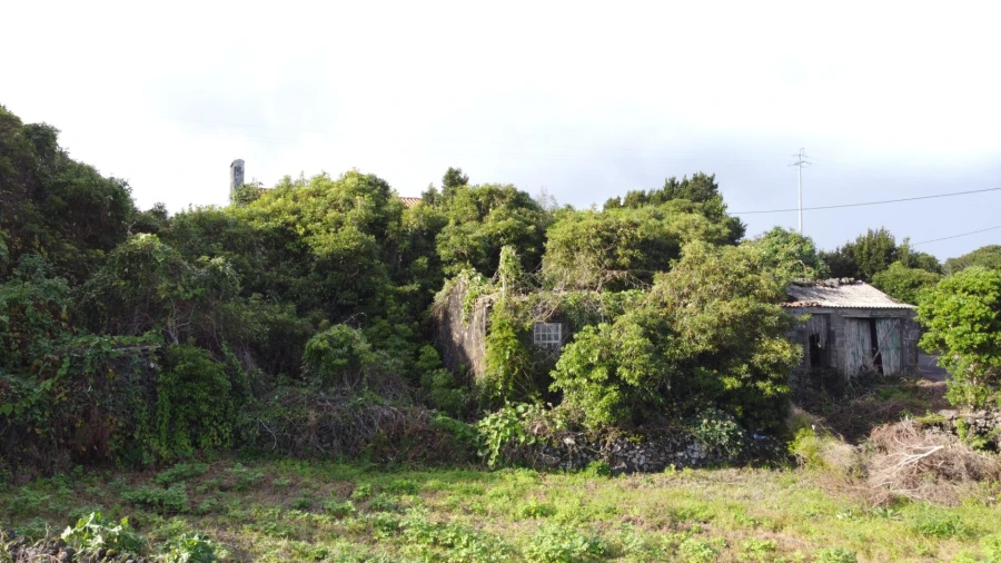 Moradia para Venda em Piedade Foto 43