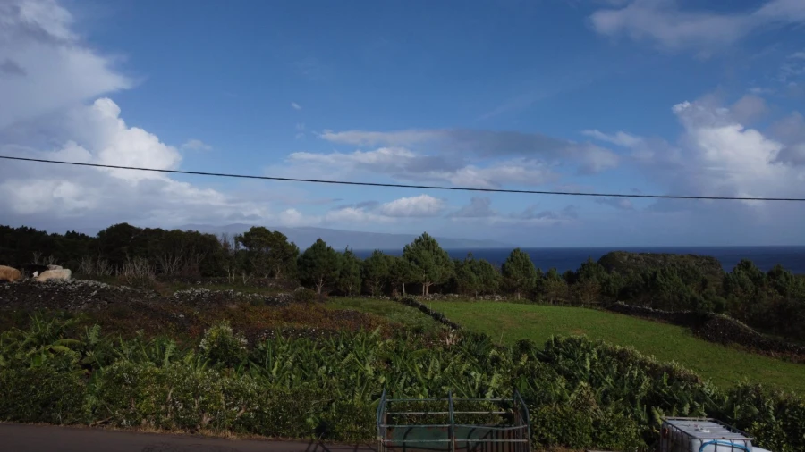 Moradia para Venda em Piedade Foto 44