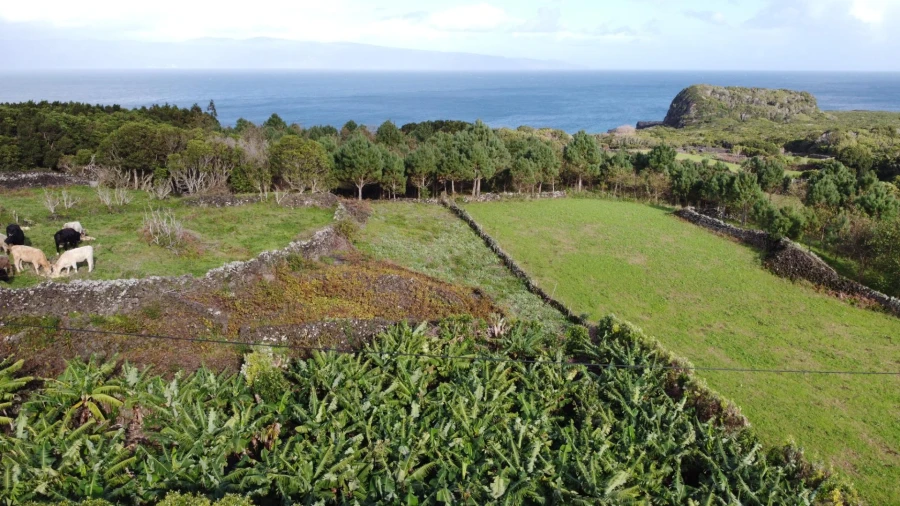 Moradia para Venda em Piedade Foto 46