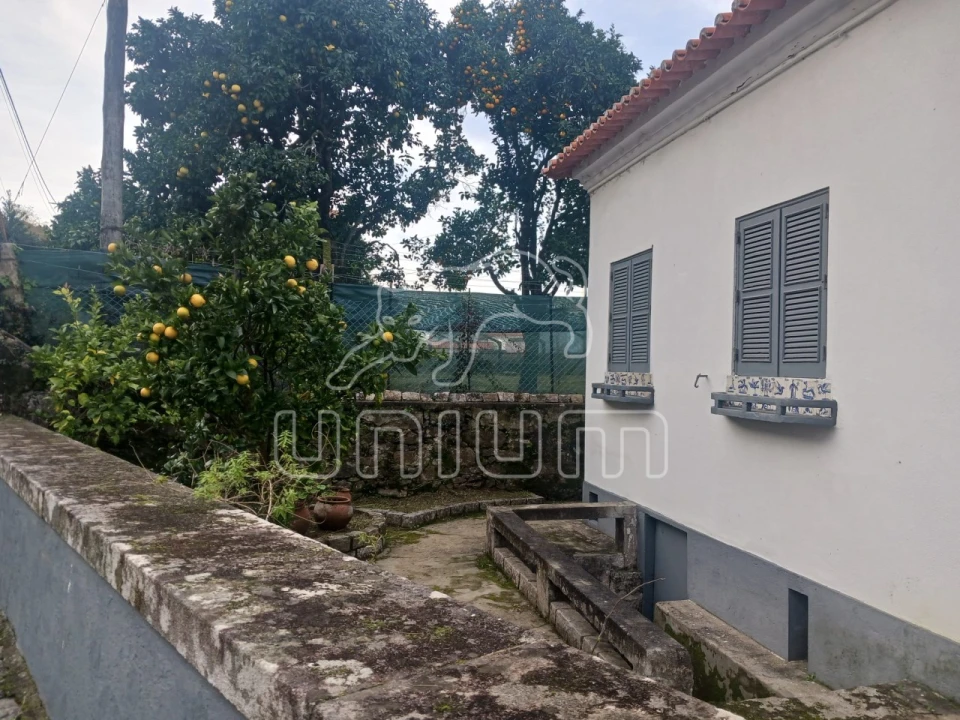 Moradia T3 para Venda em Seixas Foto 17
