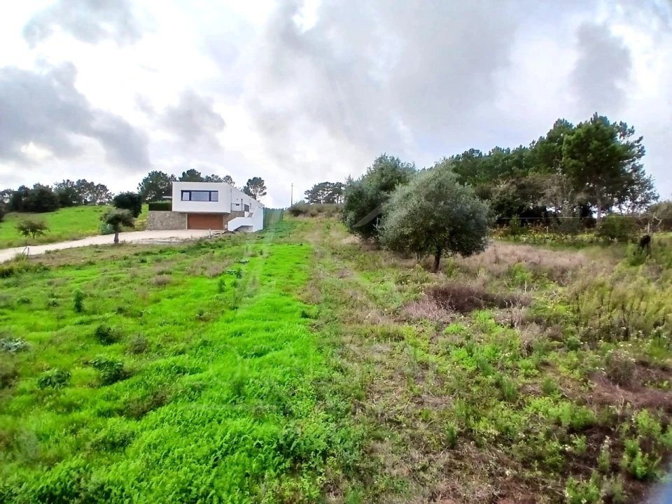Terreno para Venda em Cela Foto 3