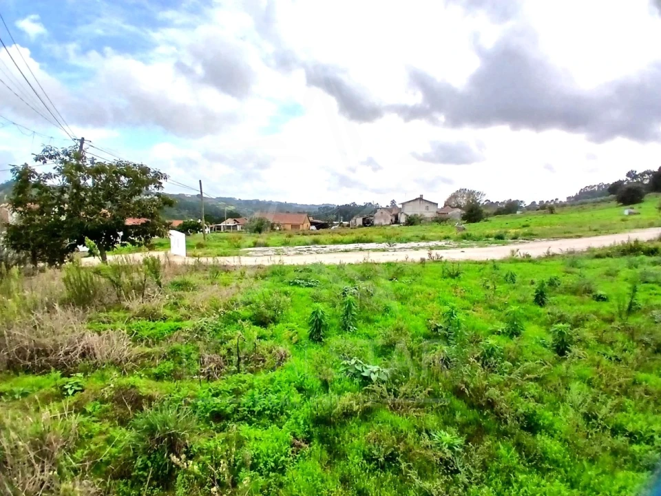 Terreno para Venda em Cela Foto 2