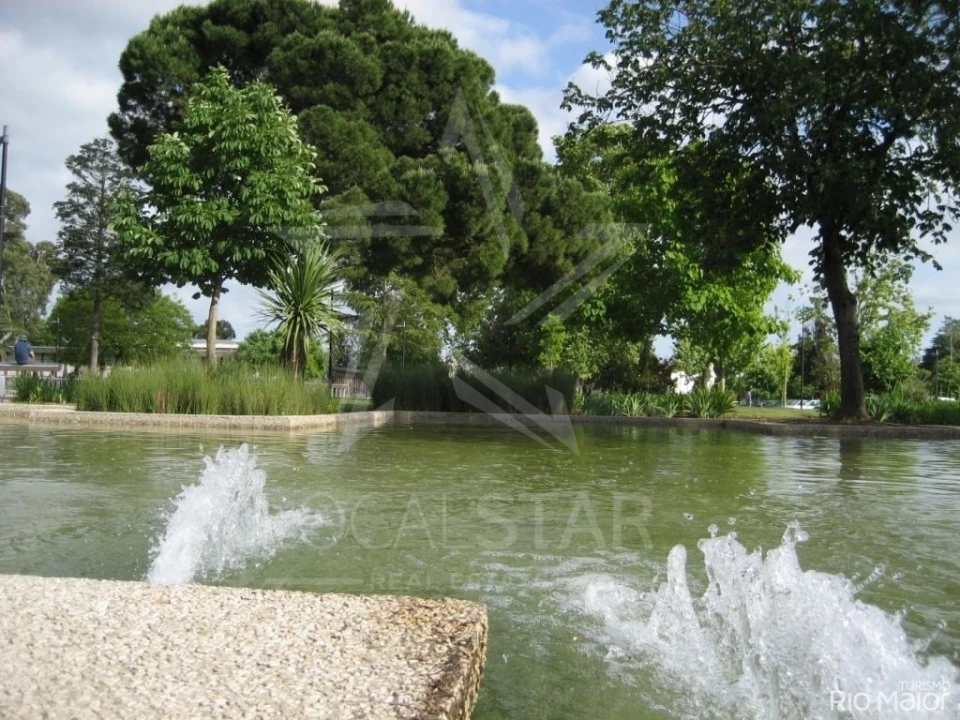 Terreno para Venda em Cela Foto 13