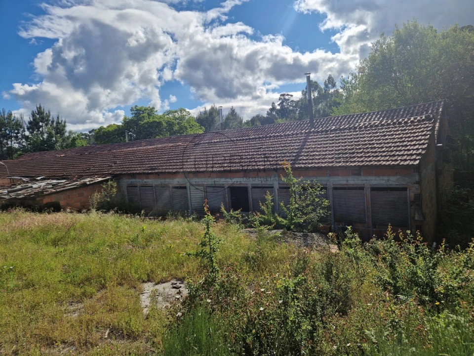 Armazém para Venda em Boa Aldeia, Farminhão e Torredeita Foto 3