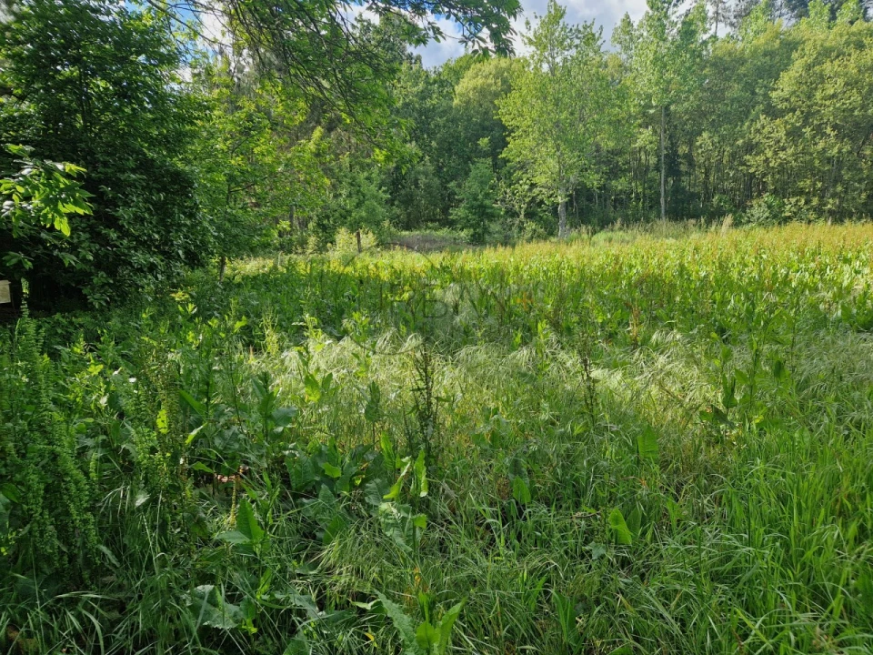 Armazém para Venda em Boa Aldeia, Farminhão e Torredeita Foto 11