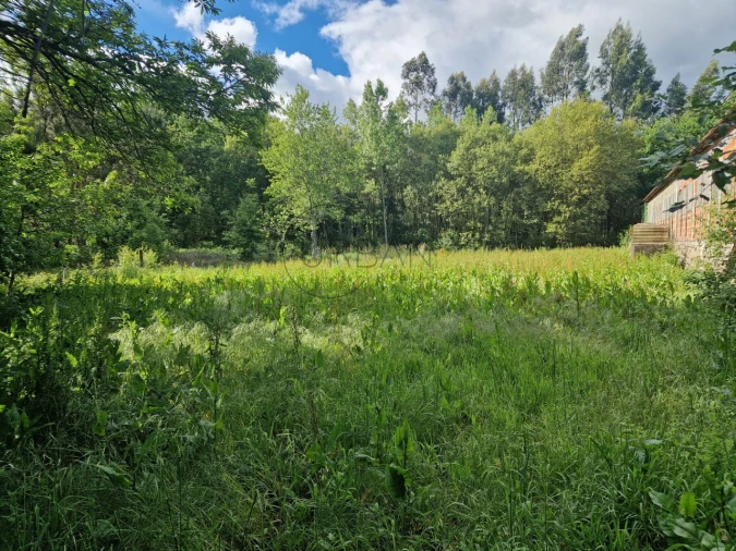 Armazém para Venda em Boa Aldeia, Farminhão e Torredeita Foto 2
