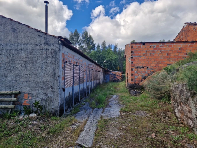 Armazém para Venda em Boa Aldeia, Farminhão e Torredeita Foto 4