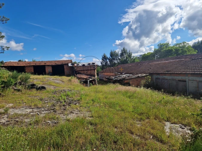 Armazém para Venda em Boa Aldeia, Farminhão e Torredeita Foto 9