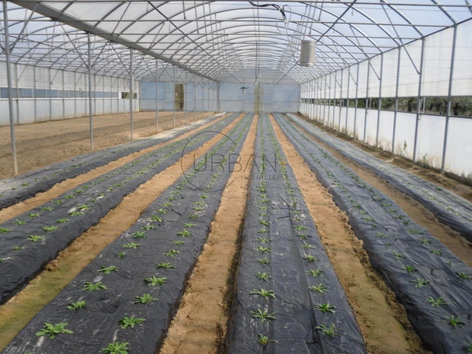 Quinta para Venda em Canas de Senhorim Foto 2
