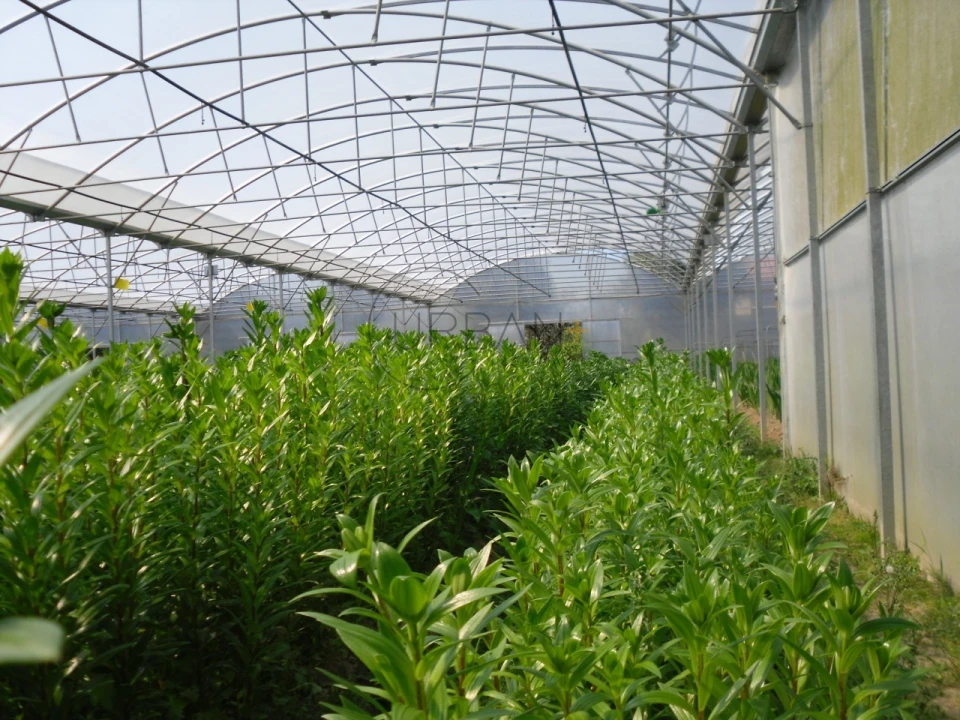 Quinta para Venda em Canas de Senhorim Foto 3