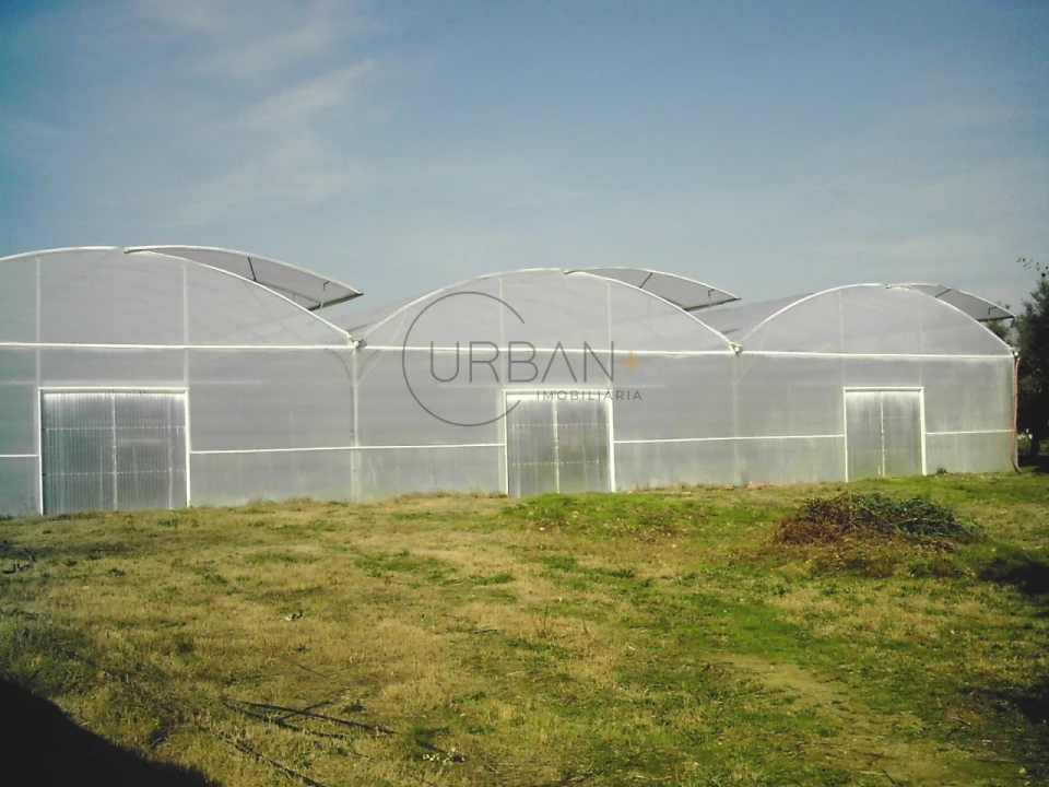 Quinta para Venda em Canas de Senhorim Foto 5