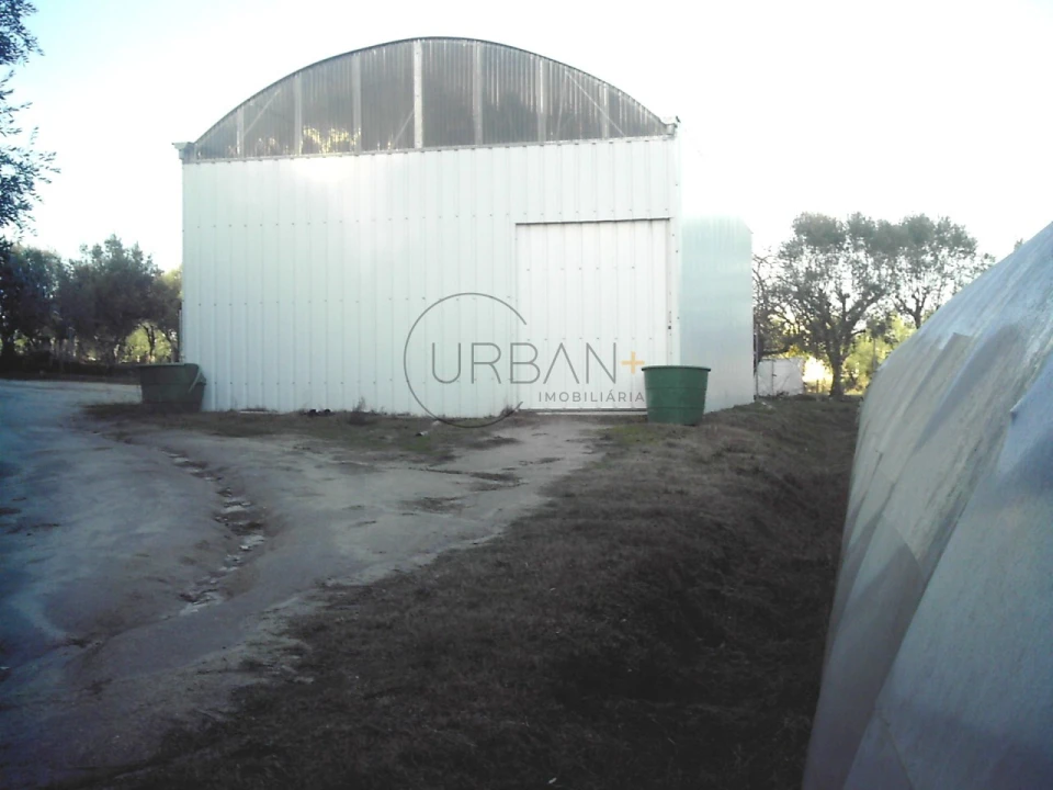 Quinta para Venda em Canas de Senhorim Foto 6