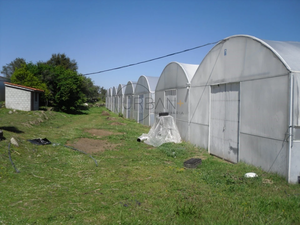 Quinta para Venda em Canas de Senhorim Foto 7