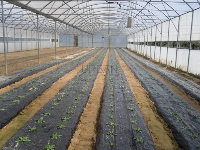 Quinta para Venda em Canas de Senhorim Foto 2