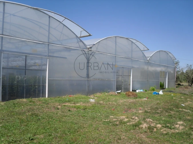 Quinta para Venda em Canas de Senhorim Foto 8