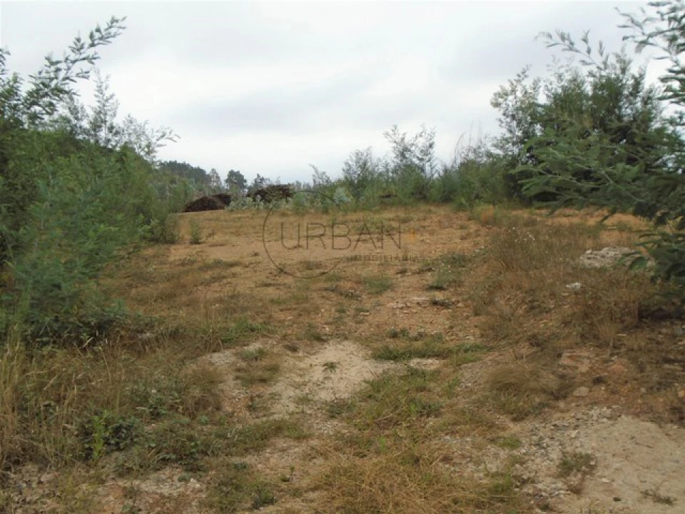 Terreno para Venda em Talhadas Foto 1