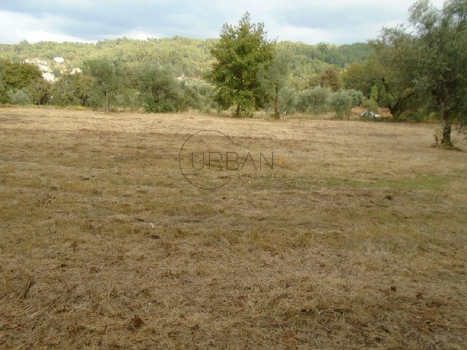 Quinta para Venda em Boa Aldeia, Farminhão e Torredeita Foto 2