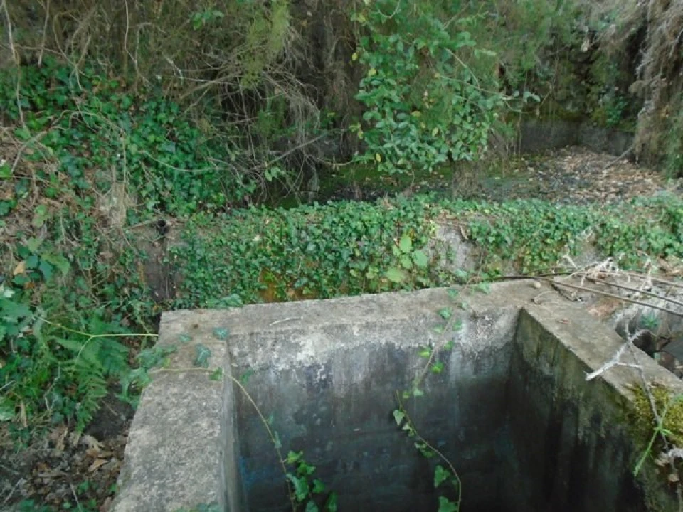 Quinta para Venda em Boa Aldeia, Farminhão e Torredeita Foto 4