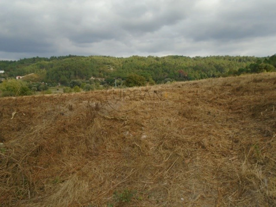 Quinta para Venda em Boa Aldeia, Farminhão e Torredeita Foto 5