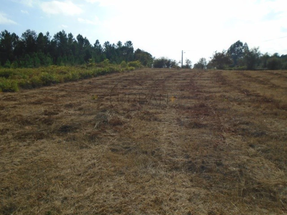 Quinta para Venda em Boa Aldeia, Farminhão e Torredeita Foto 6