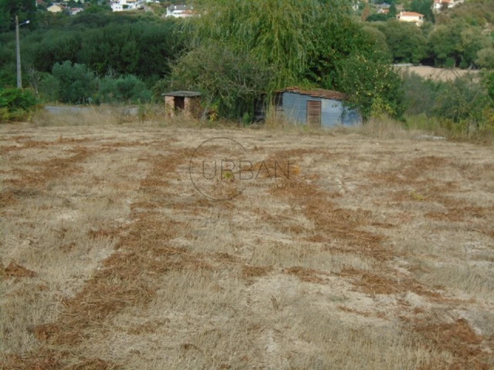Quinta para Venda em Boa Aldeia, Farminhão e Torredeita Foto 7