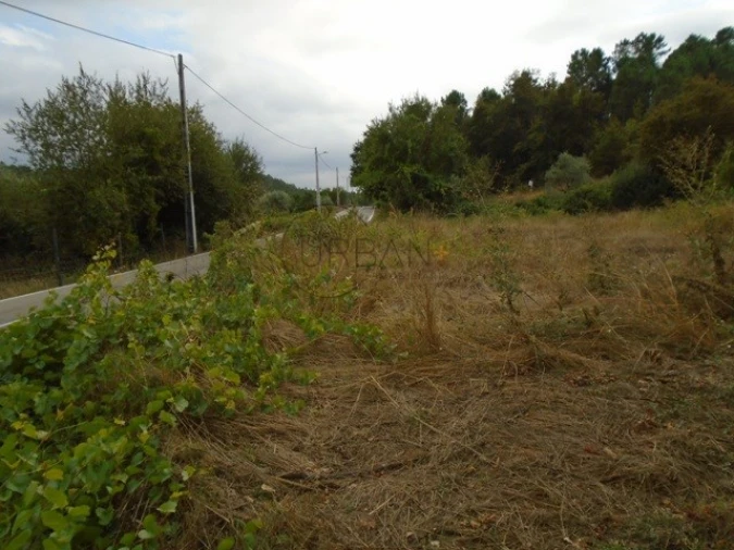 Quinta para Venda em Boa Aldeia, Farminhão e Torredeita Foto 3
