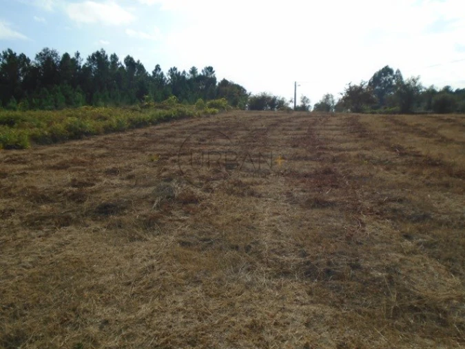 Quinta para Venda em Boa Aldeia, Farminhão e Torredeita Foto 6