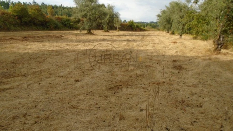 Quinta para Venda em Boa Aldeia, Farminhão e Torredeita