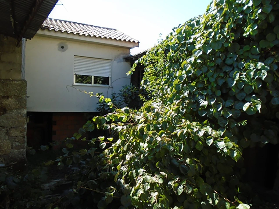 Moradia T6 para Venda em Faíl e Vila Chã de Sá Foto 1